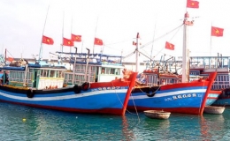 Hội nghề c&aacute; Việt Nam phản đối quyết định của DOC